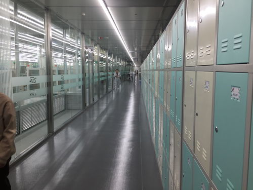 办公场景下各类智能存储柜选择指南 指纹柜、一卡通柜、人脸识别柜、寄存柜与存储柜对比